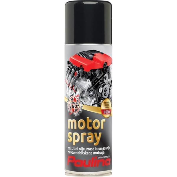 PAULINA Motor spray